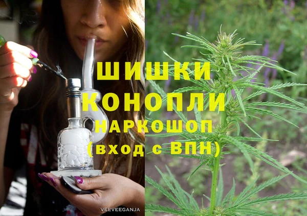 дмт Надым