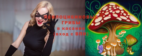 дмт Надым